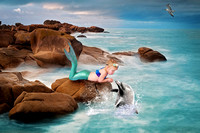 kissing dolphin